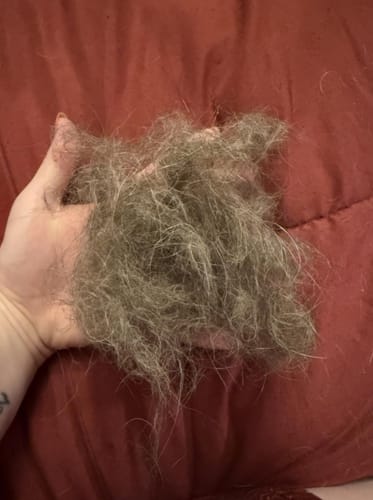Customer photo review of Guante Cirezo™ – Elimina el pelo de tu mascota en segundos