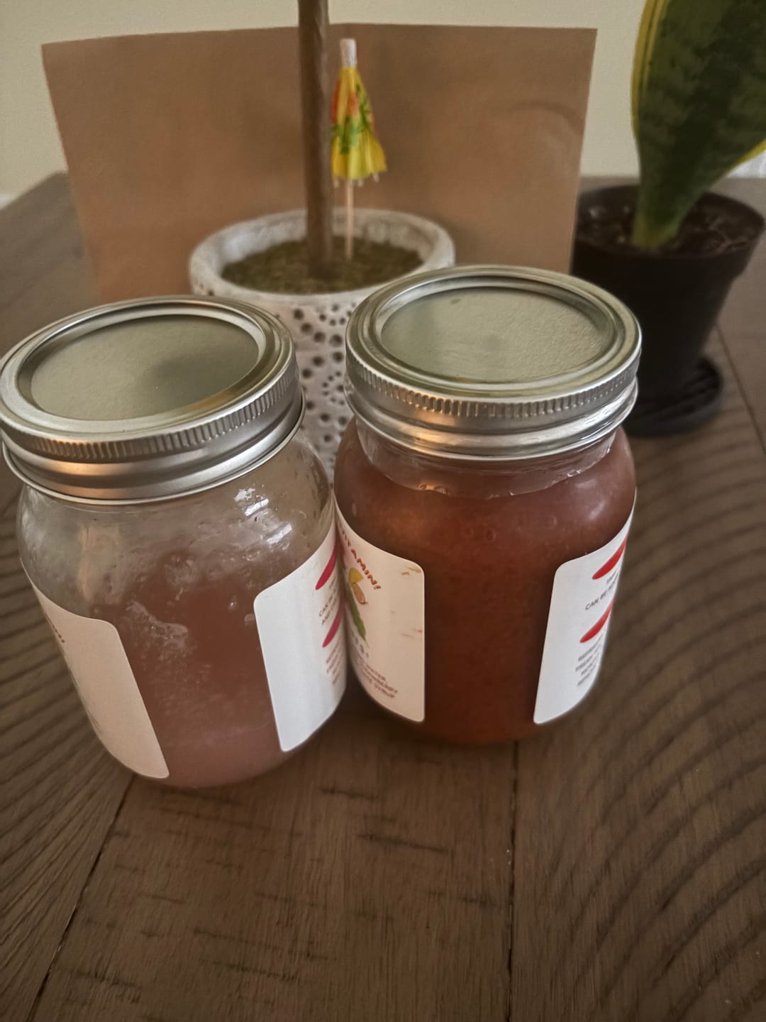Customer photo review of ELDERBERRY GINGER East African Sea Moss Gel (flavored)