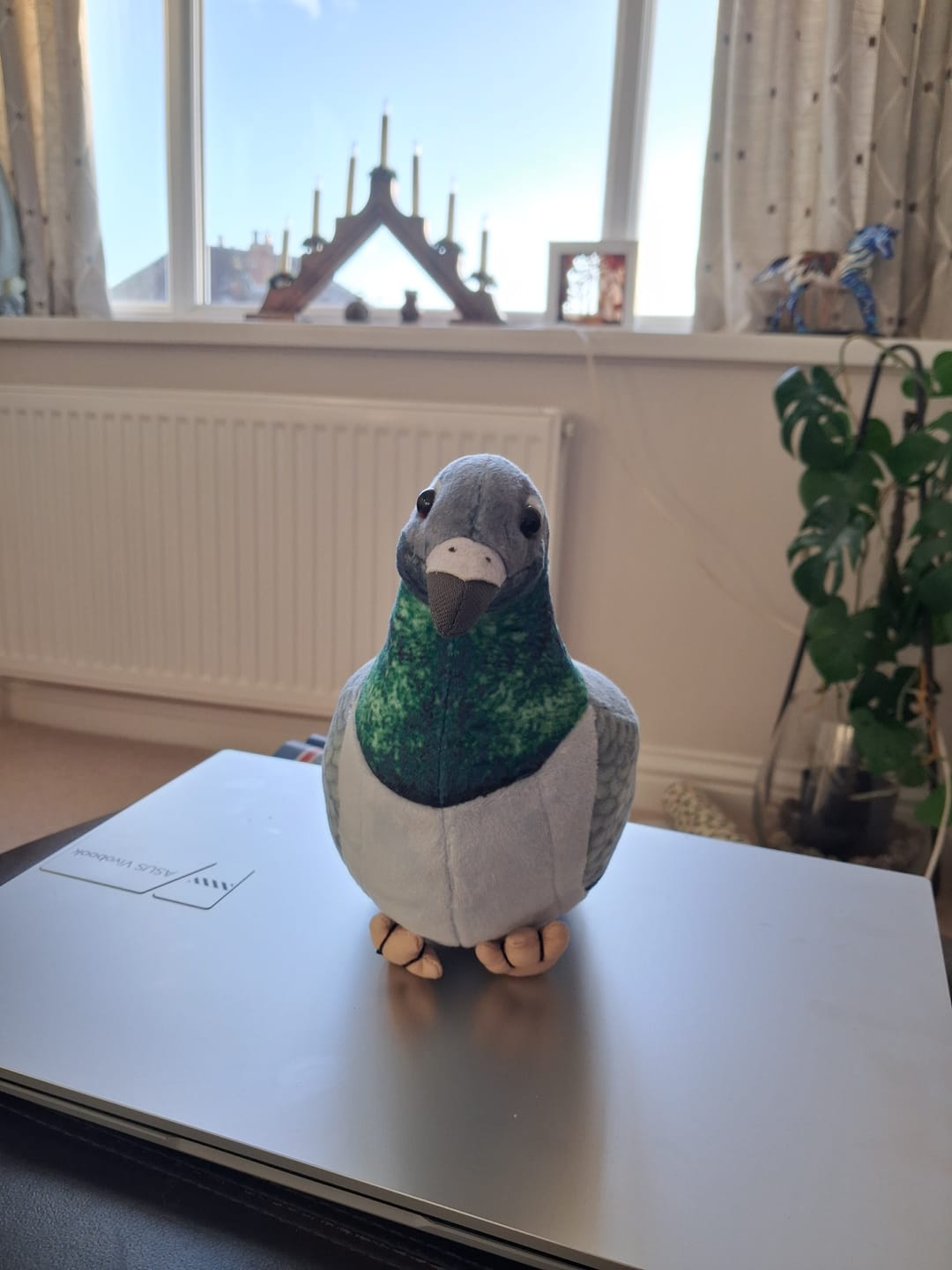Customer photo review of Common Pigeon Bird Soft Stuffed Plush Toy