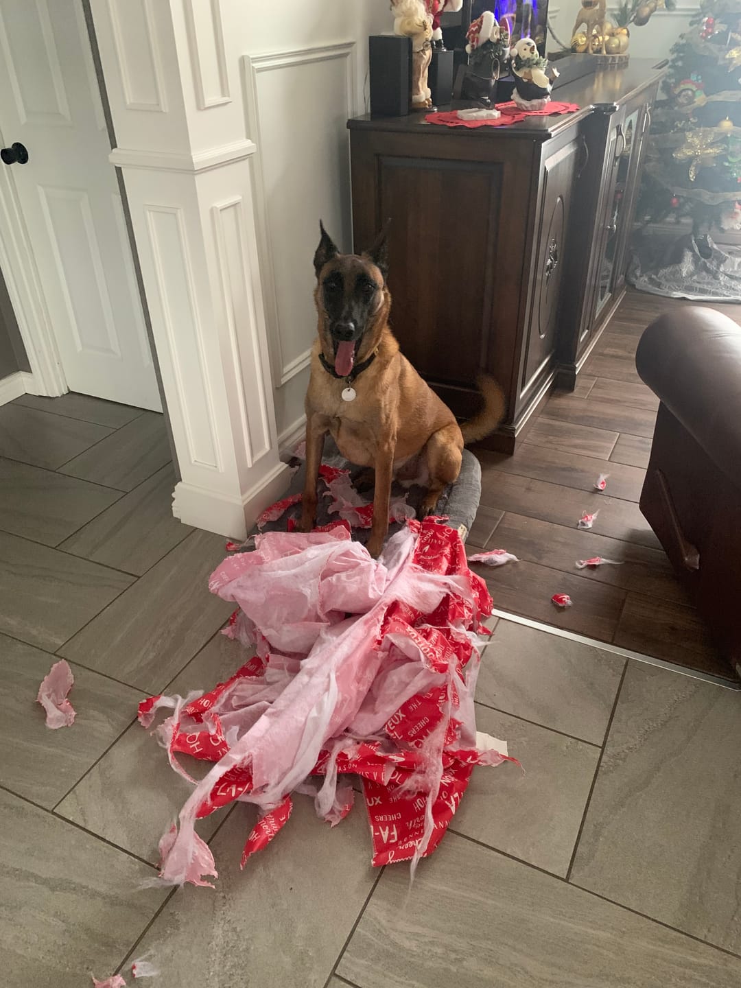 Customer photo review of Inukshuk - Nourriture pour Chien d'entrainement et performant (33lbs)