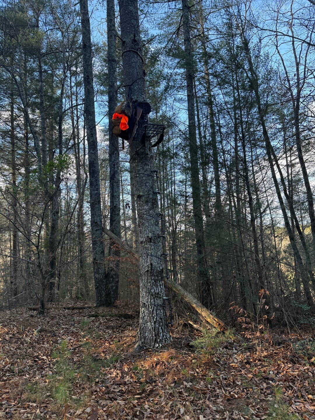 Customer photo review of THE .75 HANG-ON