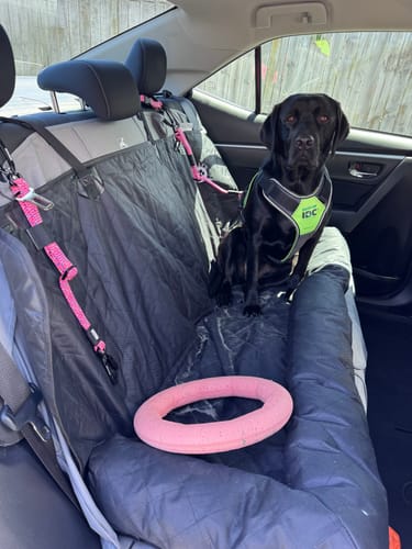 Customer photo review of Car Seat Cover