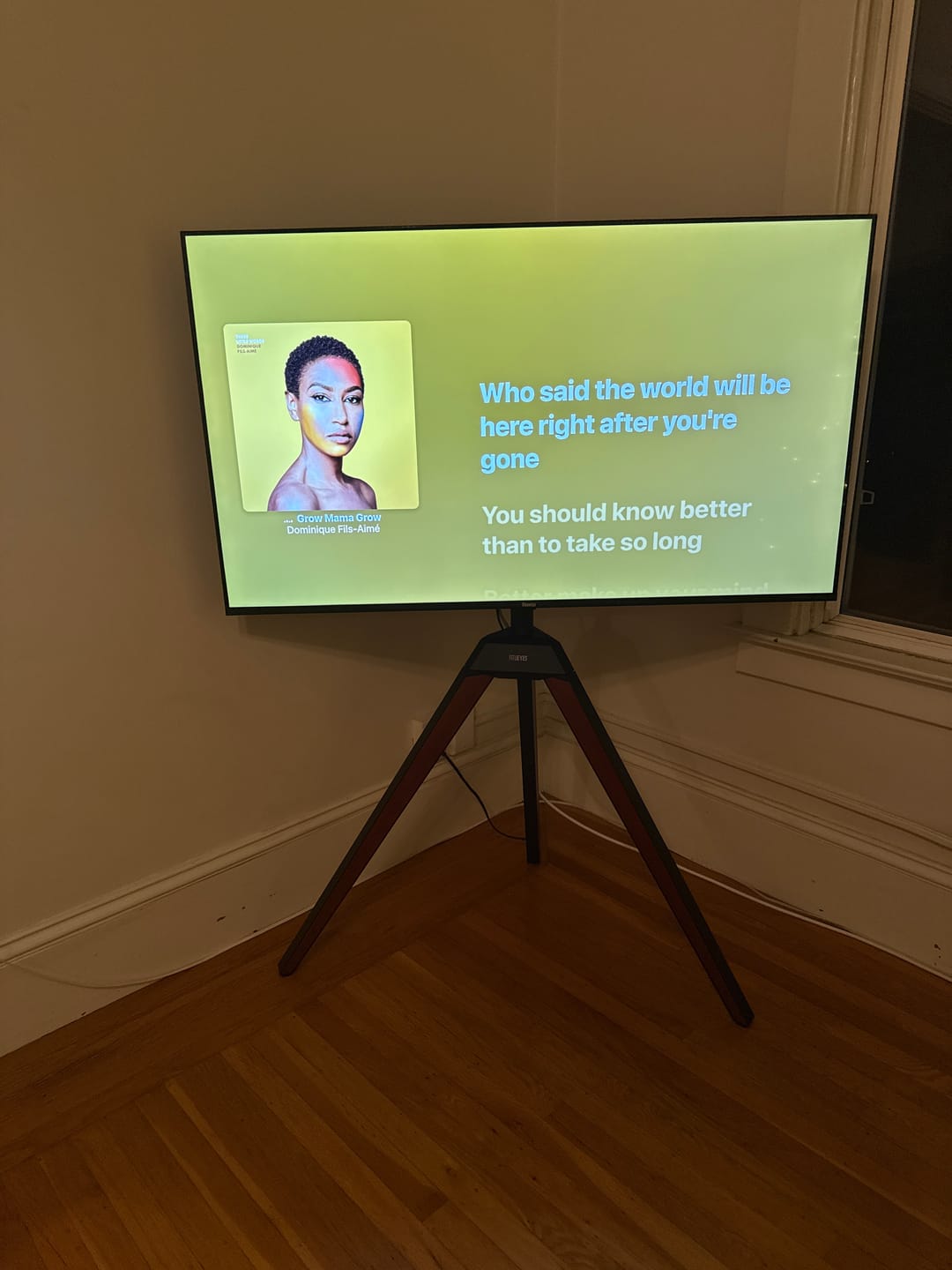 Customer photo review of Picasso FT65 TV Stand