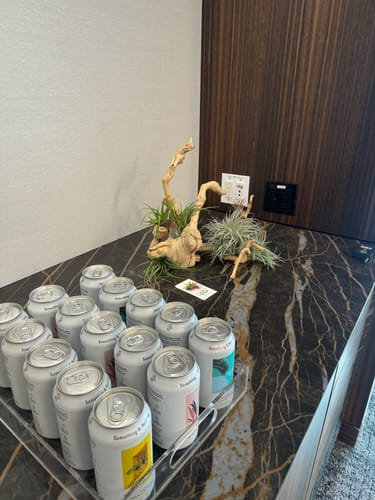Customer photo review of 50 Streptophylla Md + 50 Streptophylla Care Cards + 50 Geo Gold/Rose Gold Holders