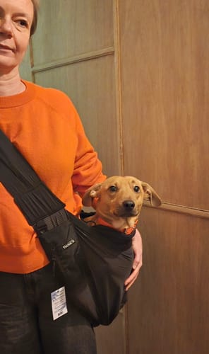 Customer photo review of Sac de transport en bandoulière noir