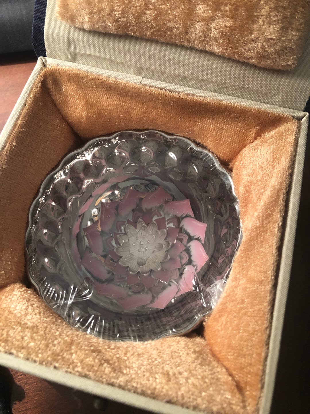 Customer photo review of Vivid Lotus