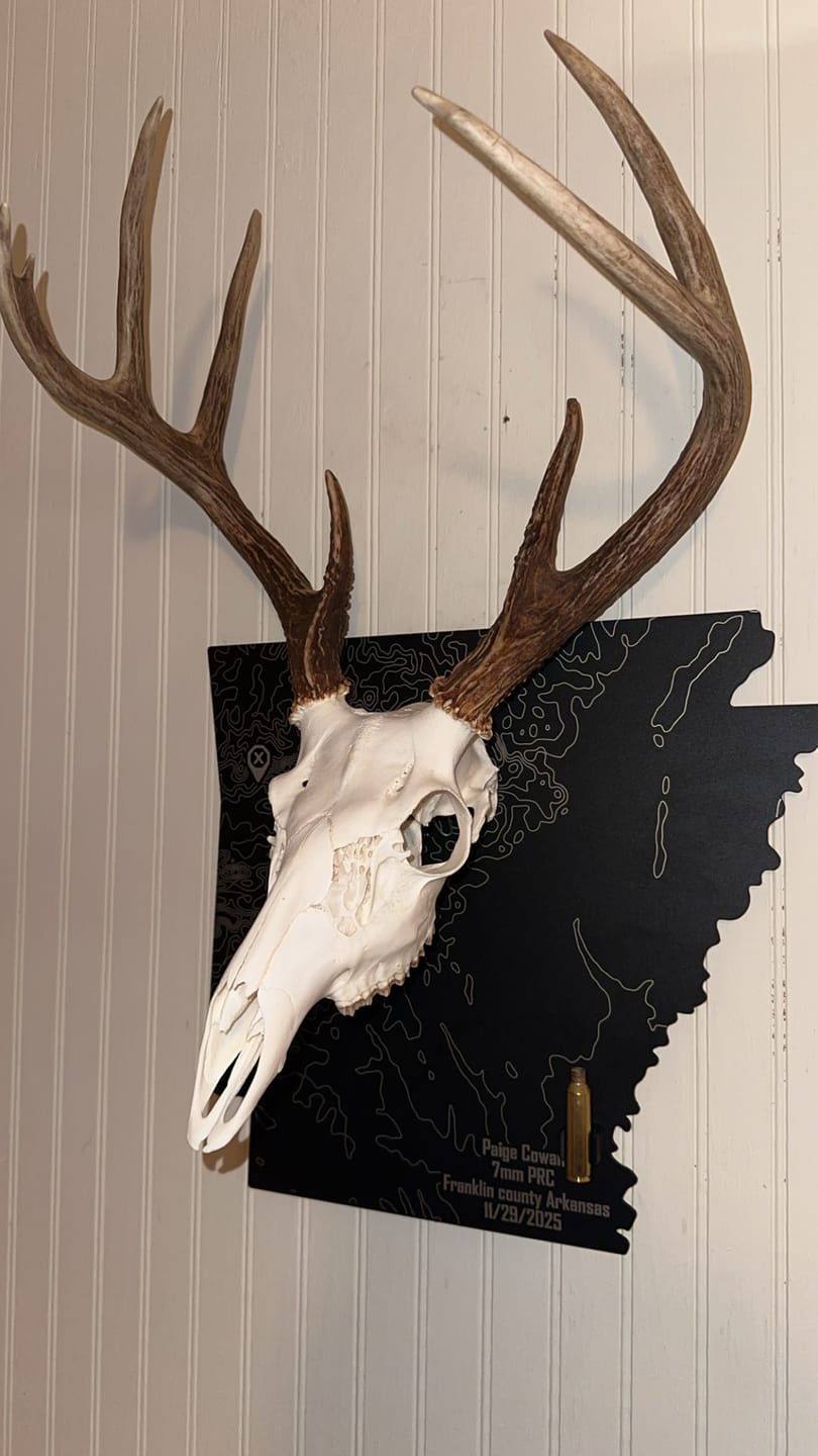 Customer photo review of Medium Game Plaques