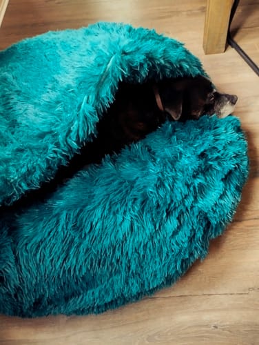 Customer photo review of Super Plush Cove Bed