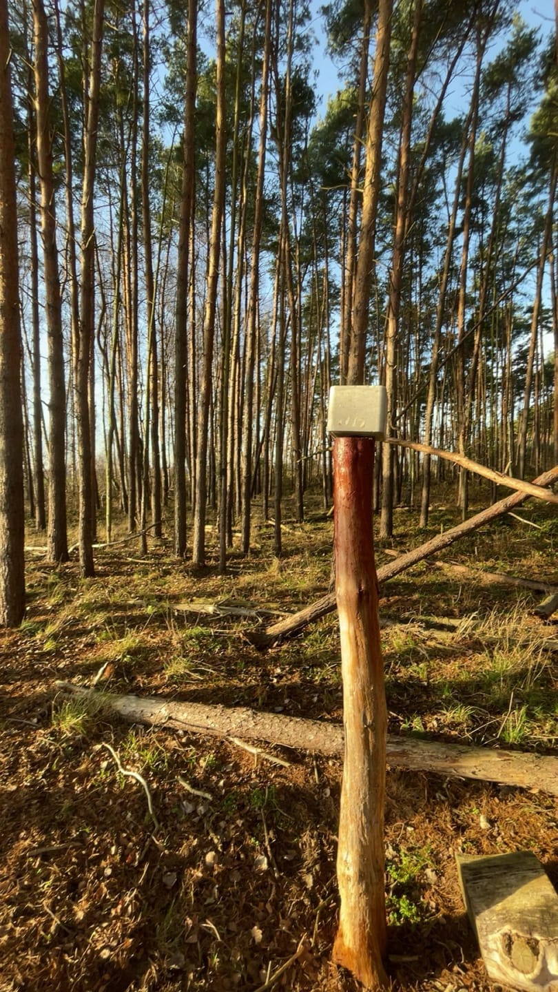 Customer photo review of Salzspray Anis - Lockmittel Rehwild, Schwarzwild, Rotwild und Damwild