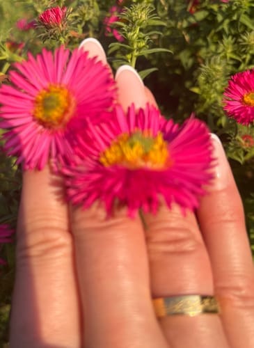 Customer photo review of "Gewiss, mit der Erschwernis, kommt die Erleichterung" Ring