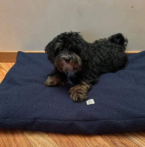 Customer photo review of Cover Materassino Boucle' Teddy Navy