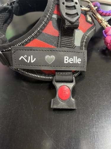 Customer photo review of お名前タグ（裏面マジックテープ · 両サイド２枚1組セット）