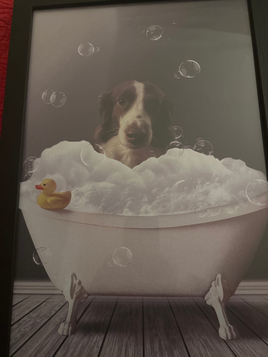 Customer photo review of Fun in the tub - Personalized Poster