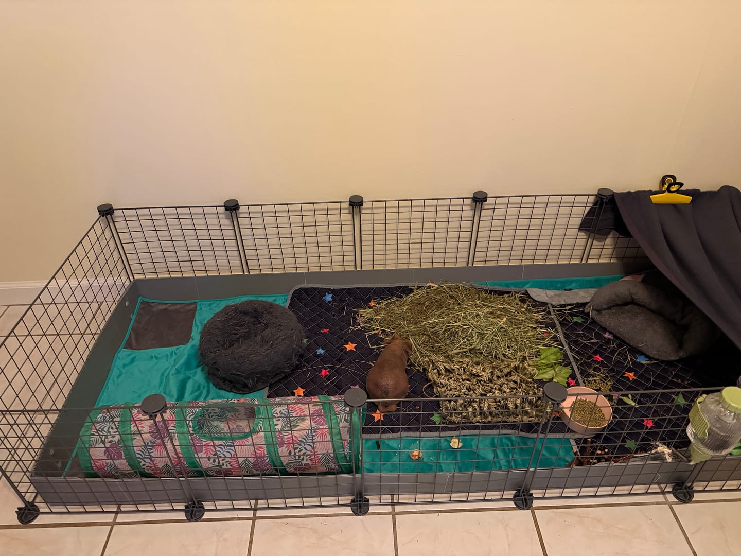 Customer photo review of GuineaDad Original Liner (No Pocket)