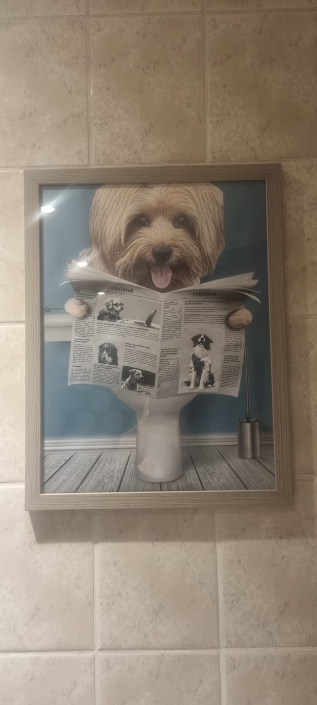 Customer photo review of Wichtige Sitzung - Individuelles Poster