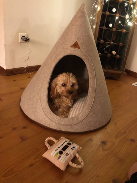 Customer photo review of Tonto - Luxury Dog Tipi Felt Beige