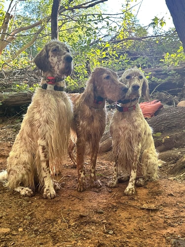 Customer photo review of Digestive Clay for Dogs and Cats