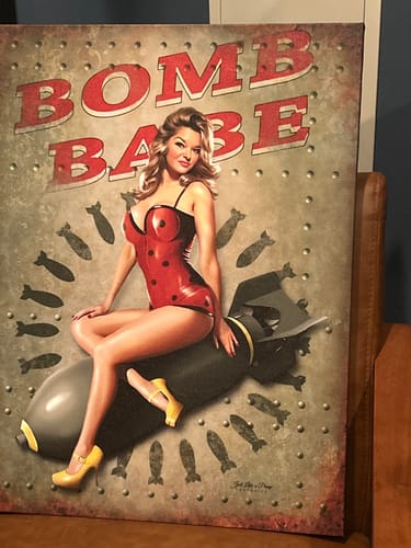 Customer photo review of Personalized thick Canvas