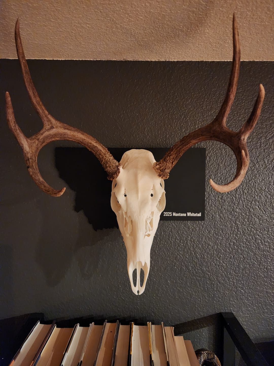 Customer photo review of Medium Game Plaques