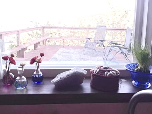Customer photo review of Little Emotional Support Vases