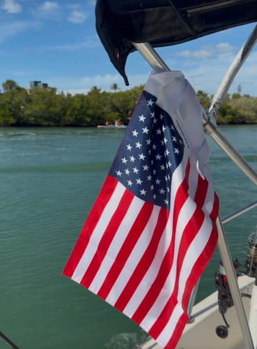 Customer photo review of American Flag