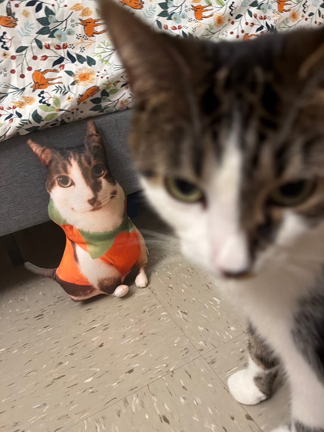 Customer photo review of Custom Pet Pillow