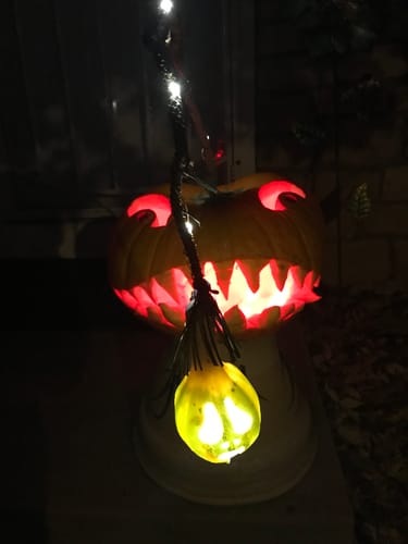 Customer photo review of Anglerfish Soft Stuffed Plush Toy