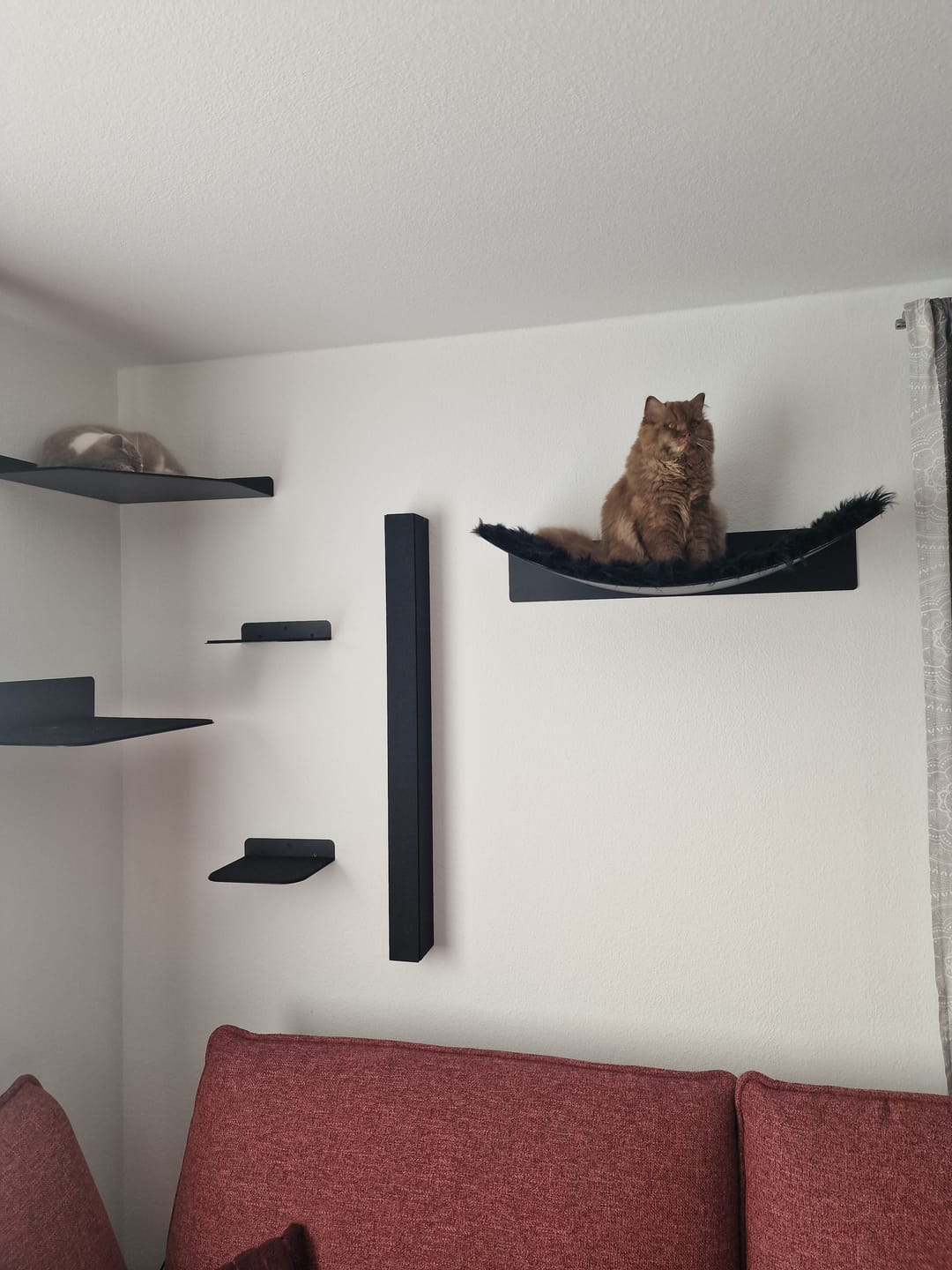 Customer photo review of STYA Katzen Kletterwand | Eck Wandliege WL360