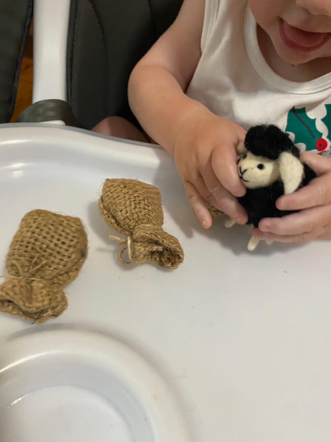 Customer photo review of Felt Baa Baa Black Sheep Toy