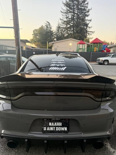 Customer photo review of Create Your Own Custom Magnetic License Plate Cover