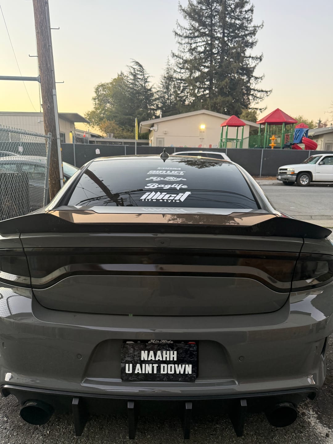 Customer photo review of Create Your Own Custom Magnetic License Plate Cover