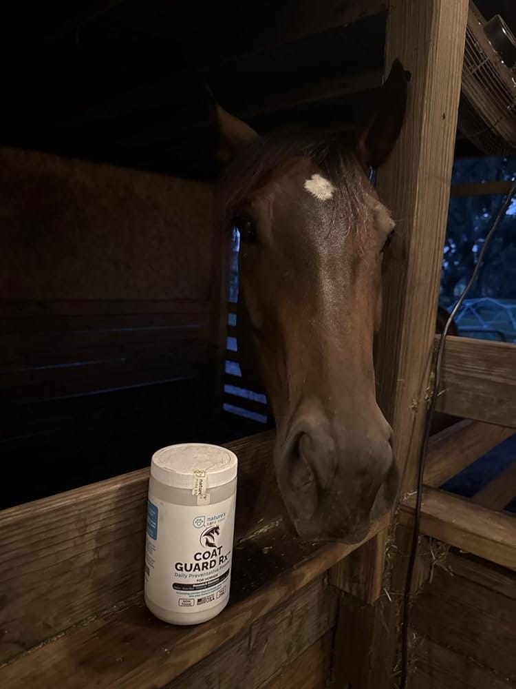 Customer photo review of Coat Guard Rx™ - Daily Preventative Powder for Horses
