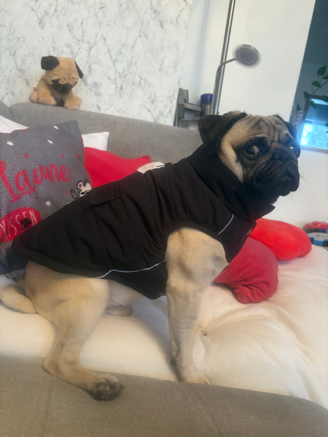 Customer photo review of WarmShield Water-Resistant Jacket - Black