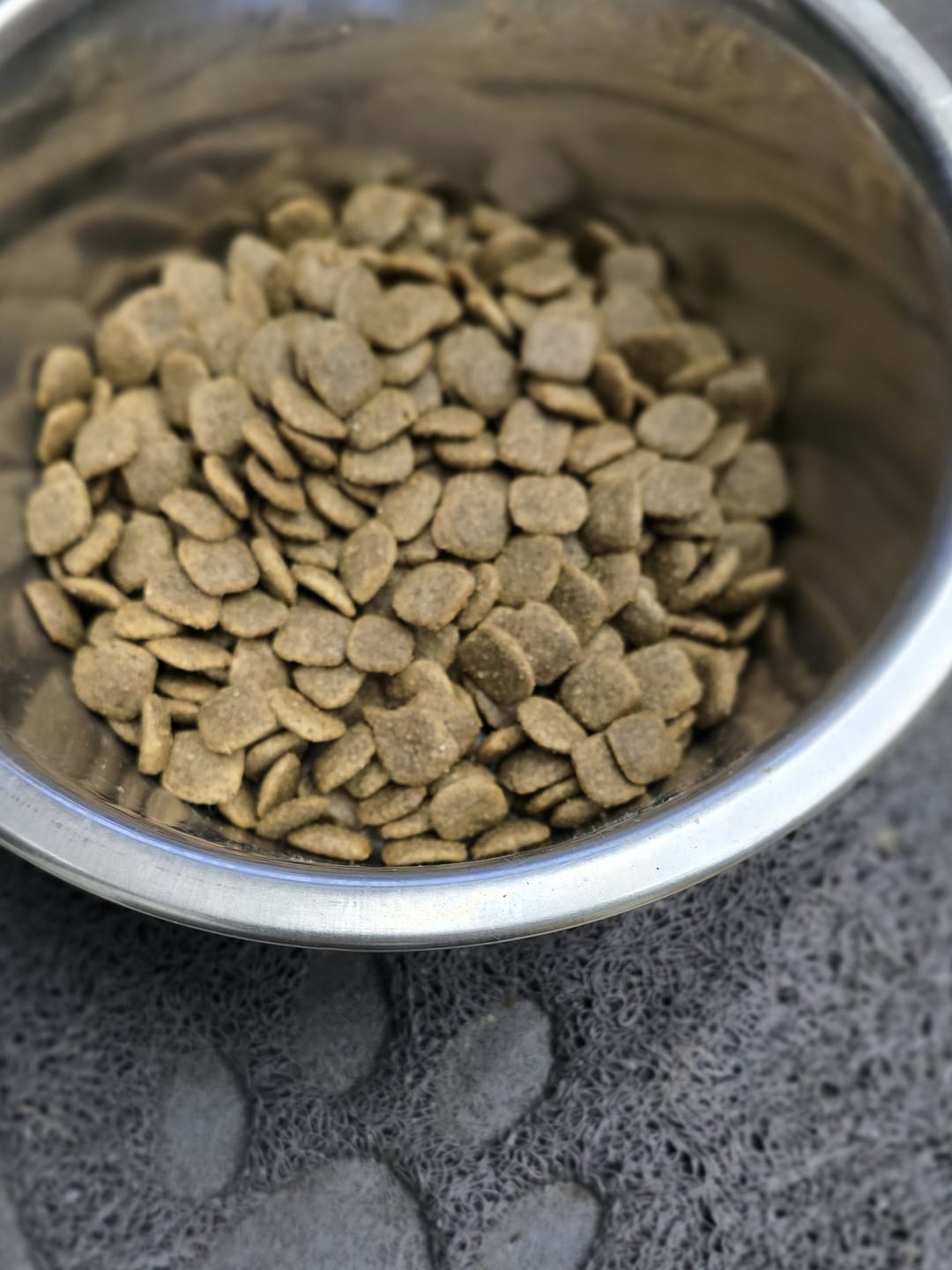 Customer photo review of Active VetDiet Ultra Dermo All size suņiem