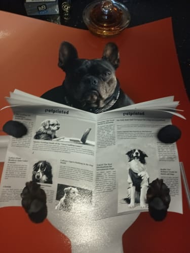 Customer photo review of Important meeting - Personalised Poster