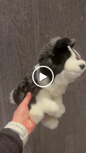 Customer video review of Hund Bamse Border Collie | Living Nature