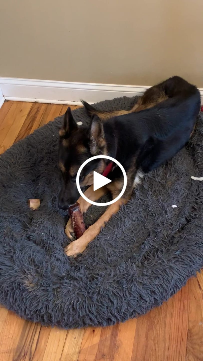 Customer video review of Mika & Sammy's - Smoked Beef Marrow