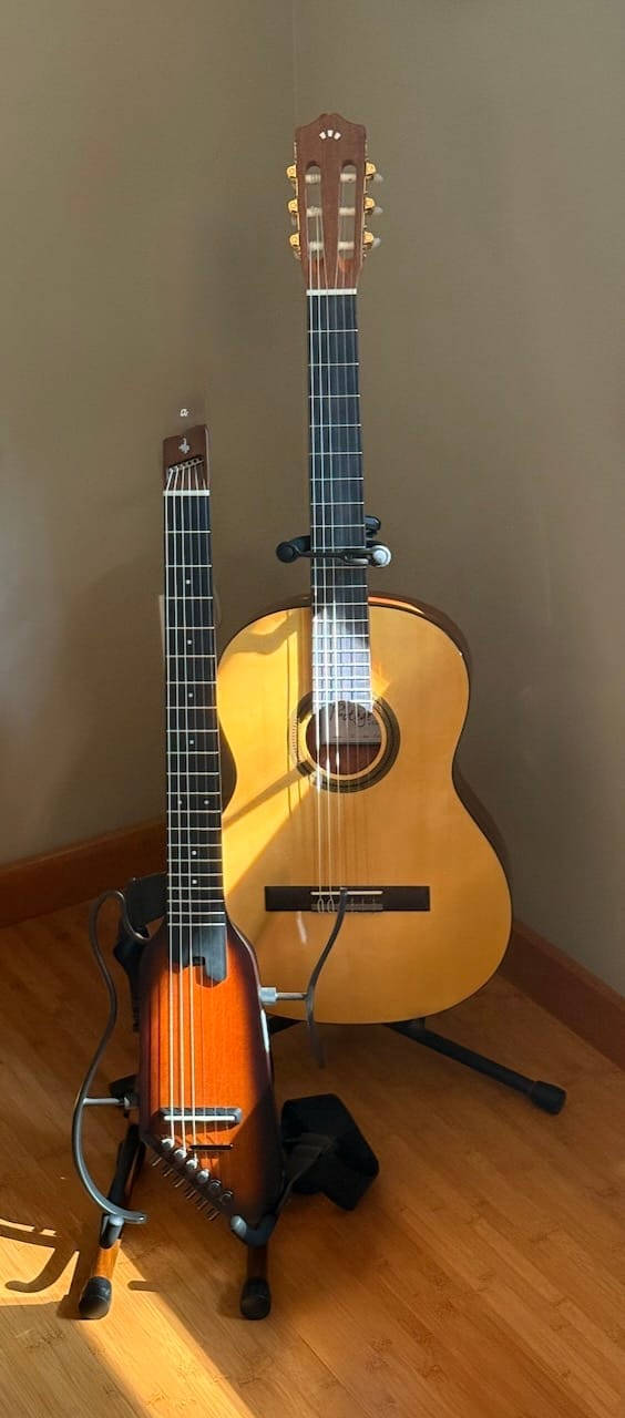 Customer photo review of Donner HUSH™ C Guitare Nylon Voyage Électro-Acoustique