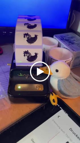 Customer video review of NIIMBOT B21 Pro 300dpi Label Printer, Photo Printing, Bluetooth Connection for Home, Business, Office