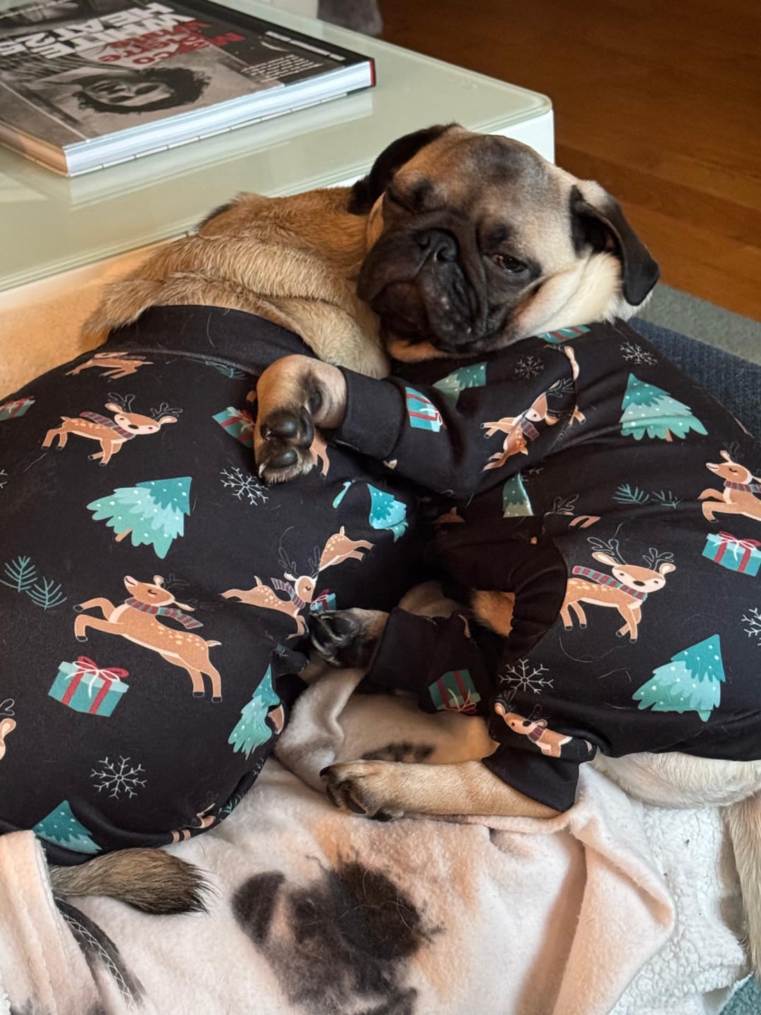 Customer photo review of Christmas Human Pajama Pants