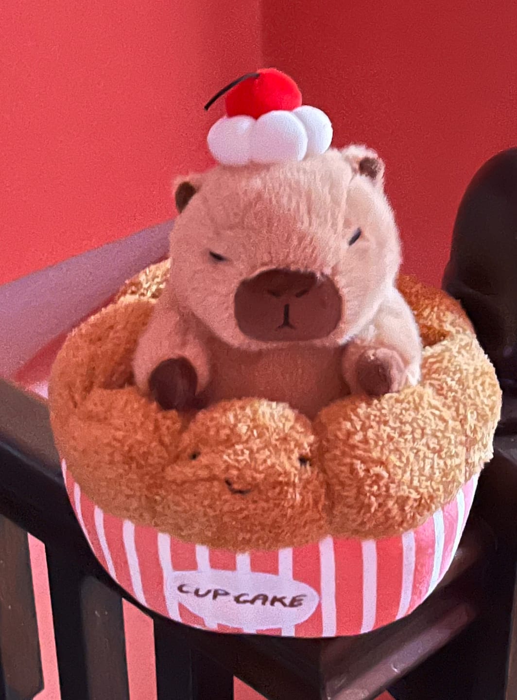 Customer photo review of Capybara & Cake Collection
