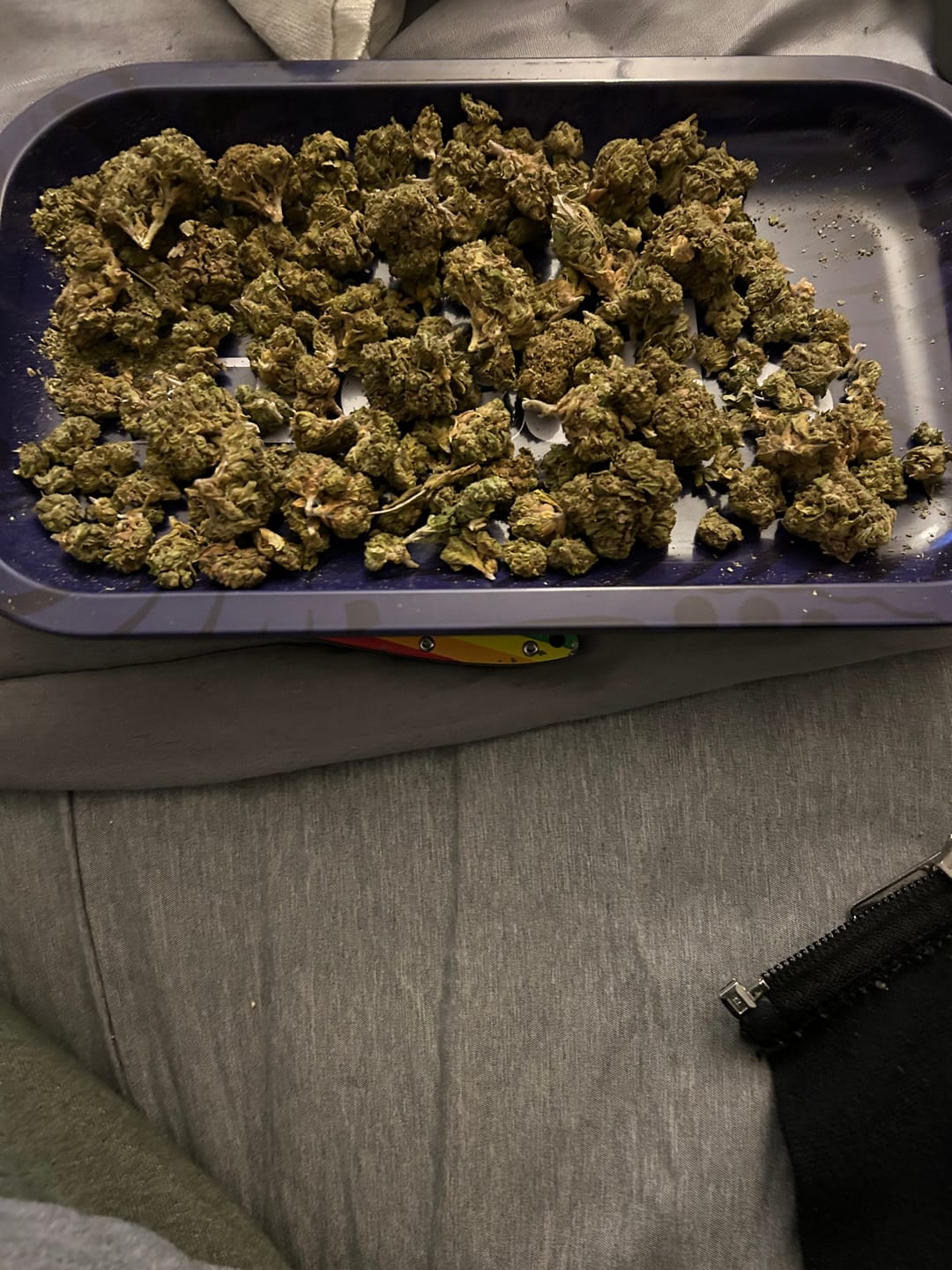 Customer photo review of OG Kush THCA Flower