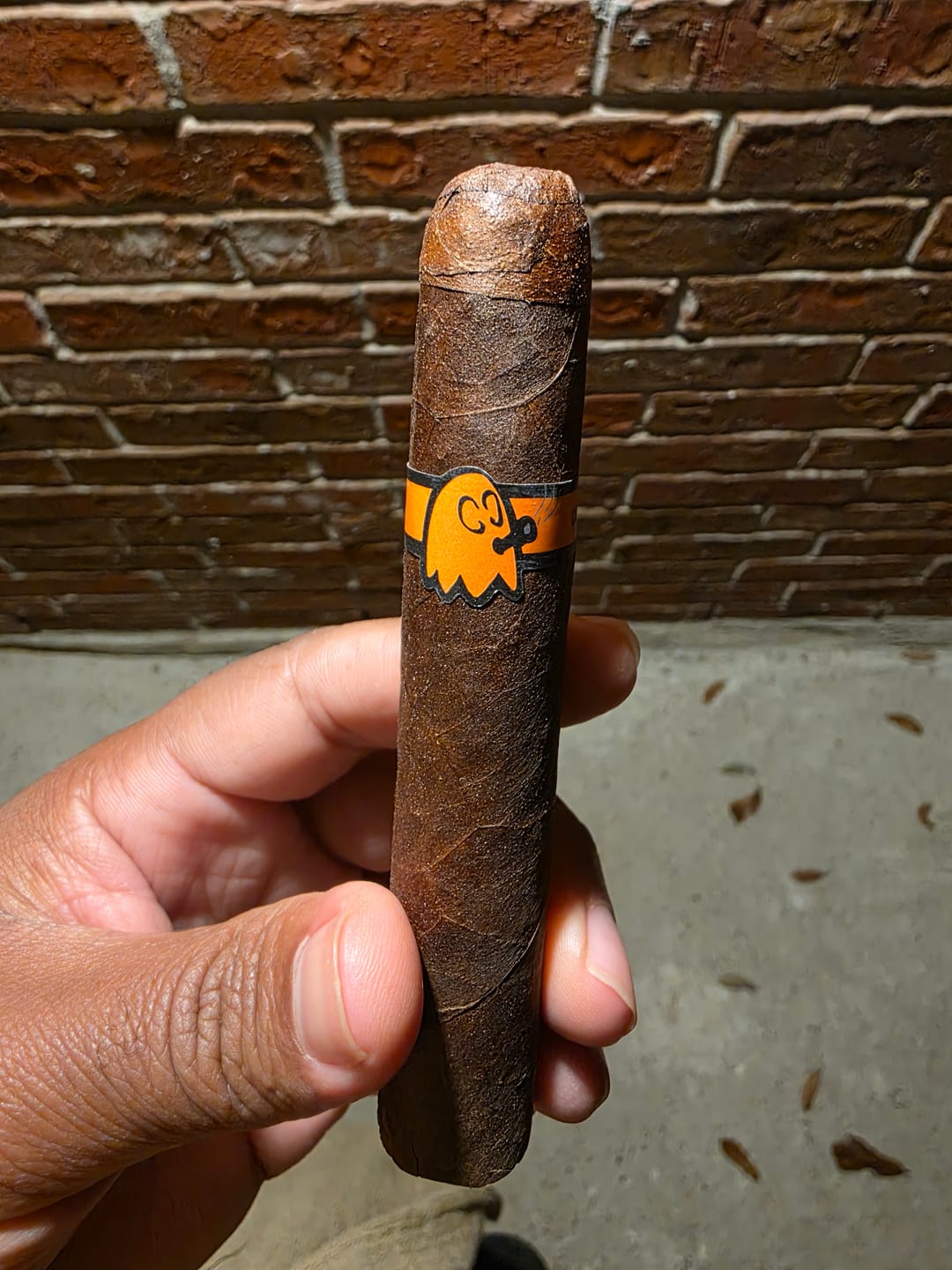Customer photo review of The Mascot