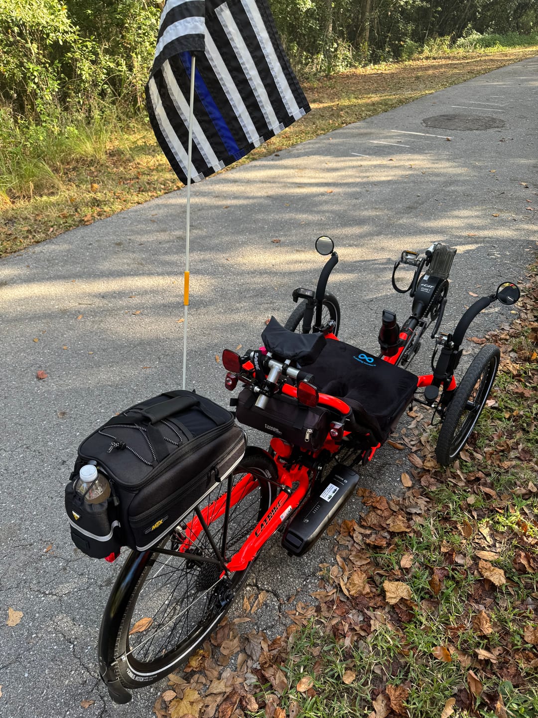 Customer photo review of Catrike Assist Arms