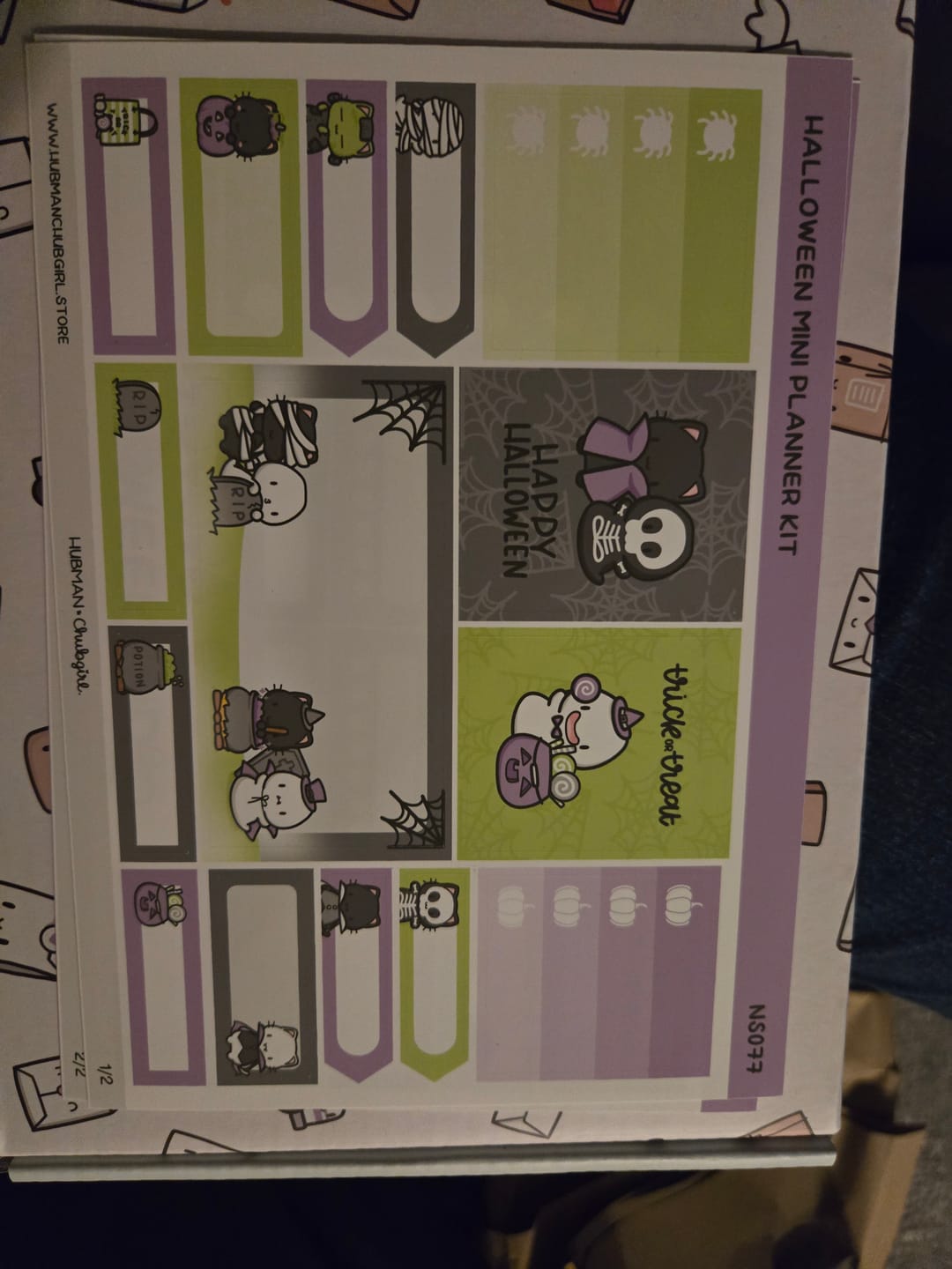 Customer photo review of Spooky Halloween Mini Planner Kit (Set of 2)