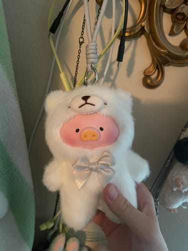 Customer photo review of Lulu The Piggy Vintage Teddy Shop Vinyl Face Plush Pendant Blind Box