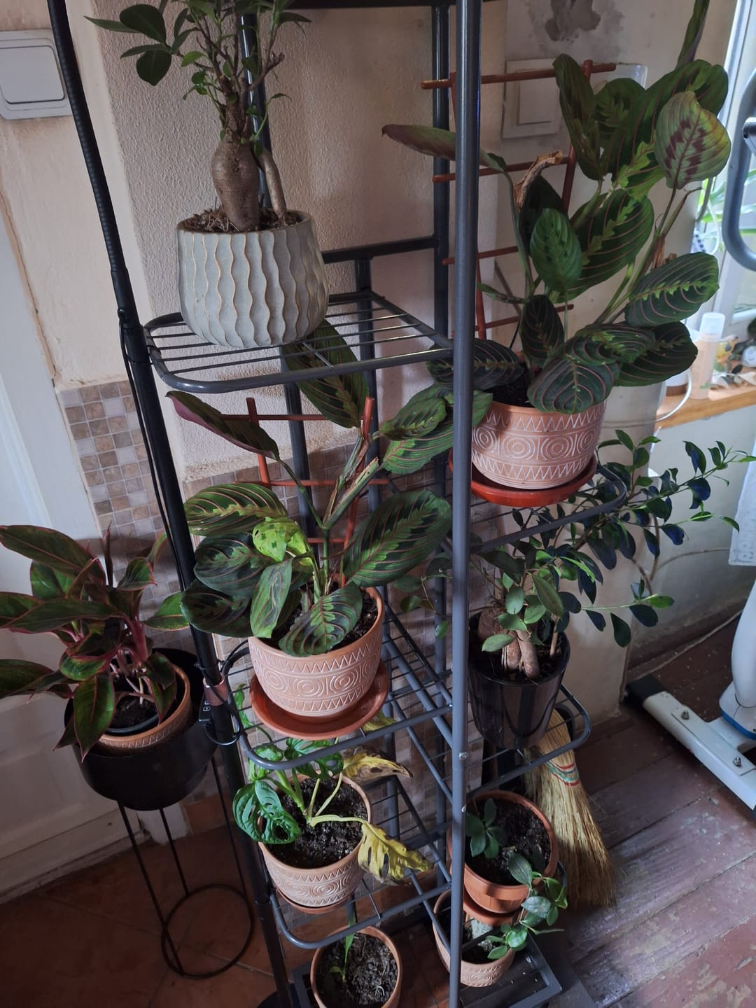 Customer photo review of Etajera BAMIR TIP 4, gri, metal, 44x22x141 cm