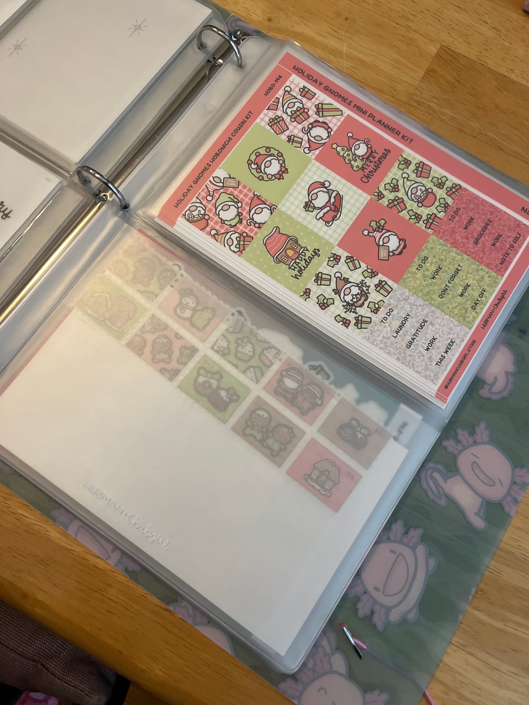 Customer photo review of Medium Storage Pockets