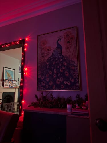 Customer photo review of Enchanted Peacock No2 Print