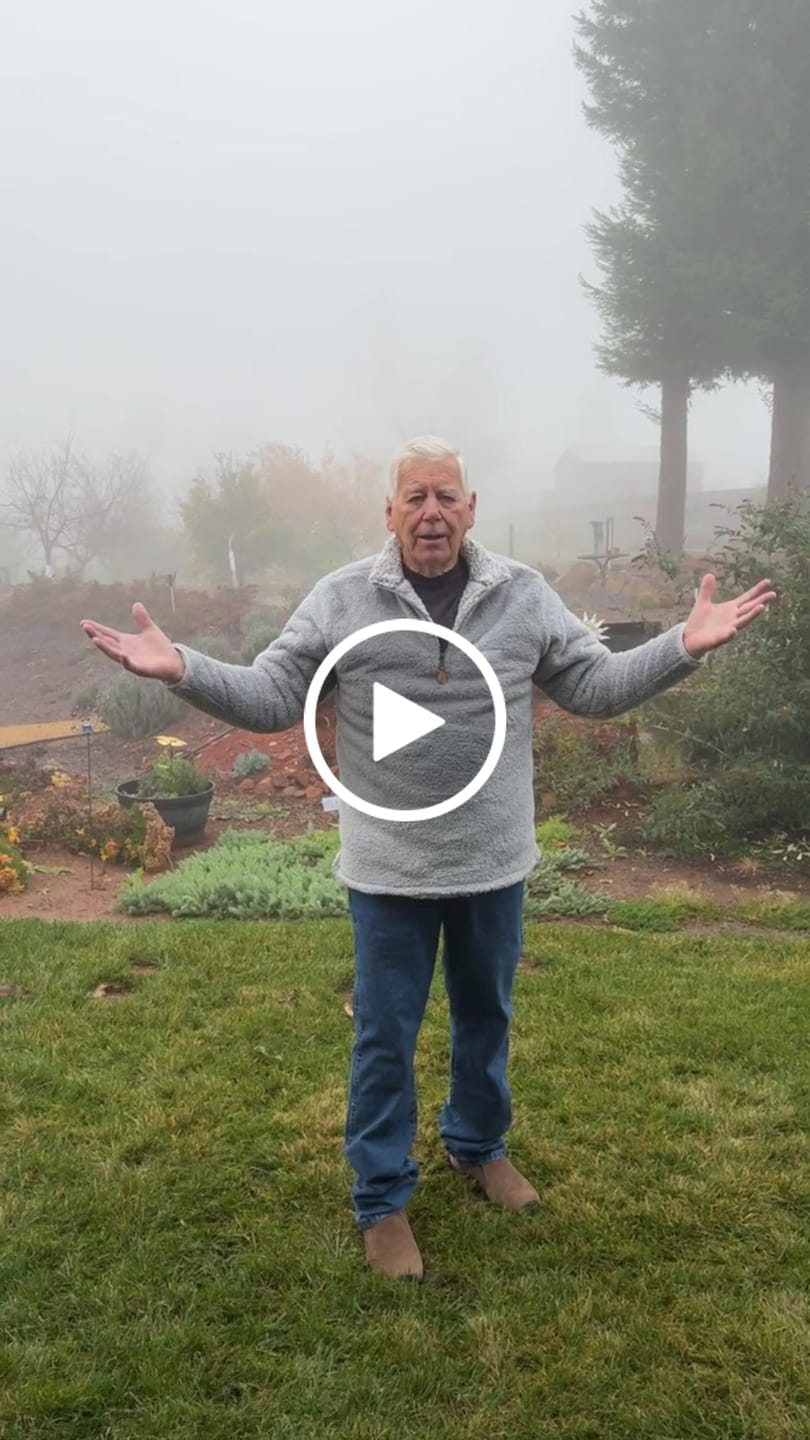 Customer video review of Reversible Double Sherpa 1/4 Zip